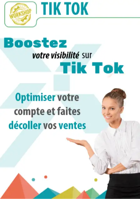 Formation tiktok pixel oi Réunion